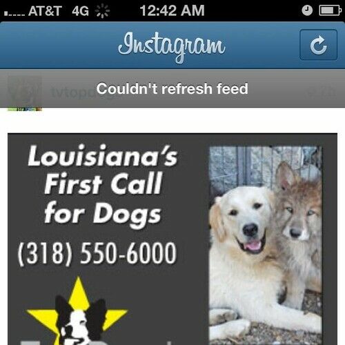 Tracy Oliver Tracy S Bio Credits Awards A Stage 32 Mental health service in pembroke pines, florida. stage 32