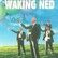 Waking Ned Devine