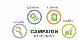 When to Bring On a Campaign Manager
