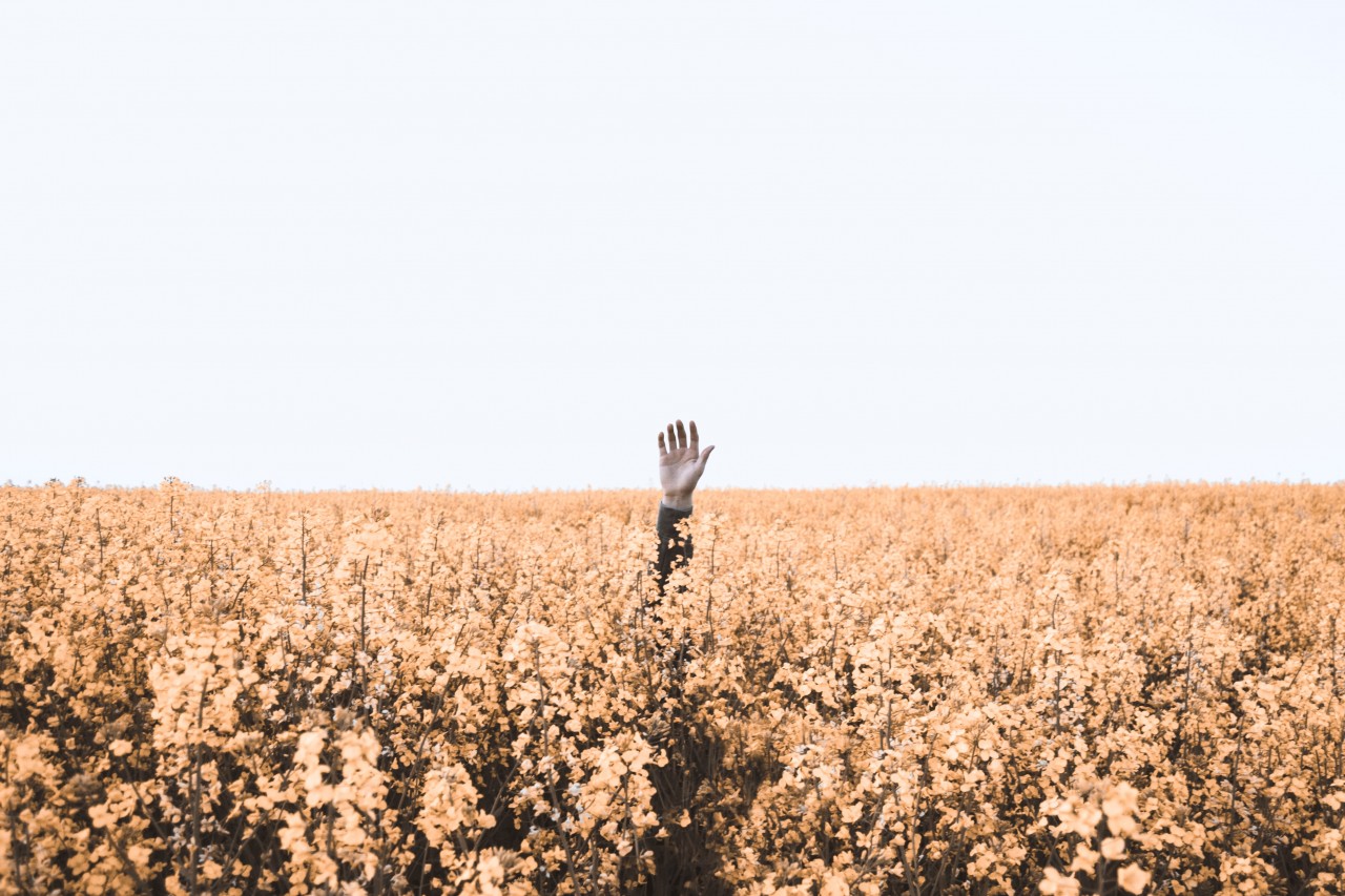 Understanding Human Psychology for Character Creation