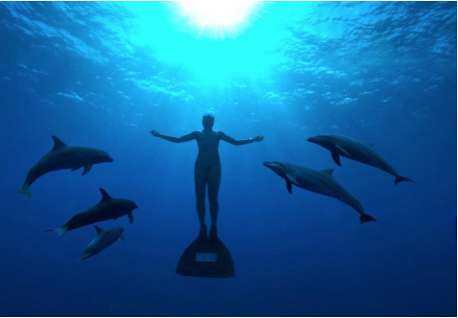 How Filmmakers Can Help Save the Environment